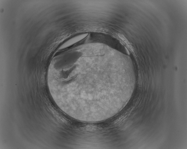 X0000087350441200705181130