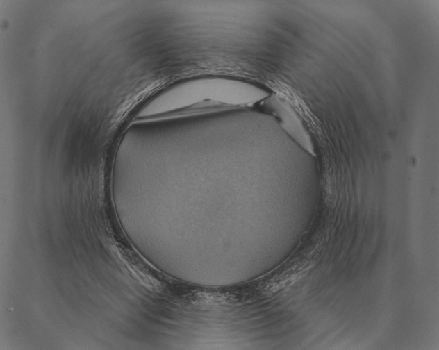 X0000087350442200705181130