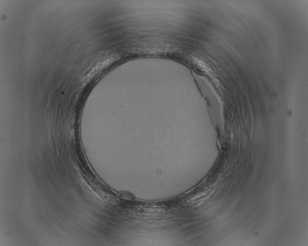 X0000087350443200705181130