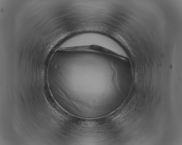 X0000087350444200705181130