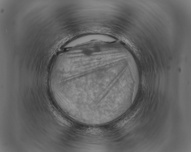 X0000087350445200705181130