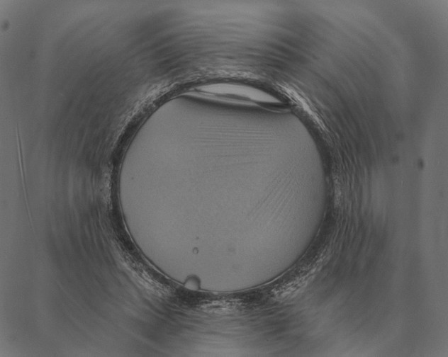 X0000087350447200705181130