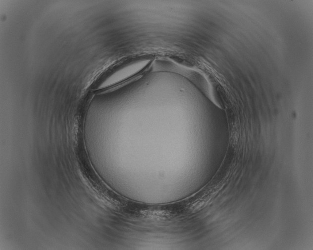 X0000087350448200705181130