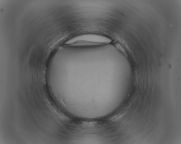 X0000087350450200705181130