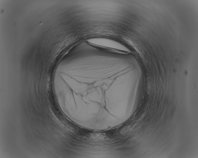 X0000087350451200705181130