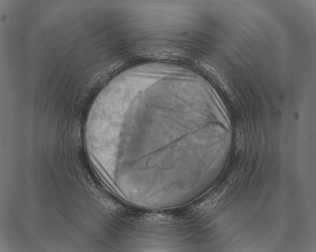 X0000087350453200705181130