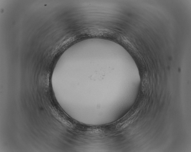 X0000087350454200705181130