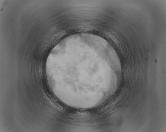 X0000087350455200705181131