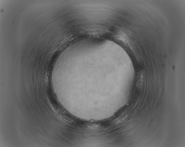 X0000087350456200705181131