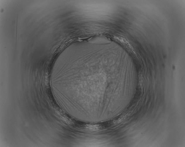 X0000087350457200705181131