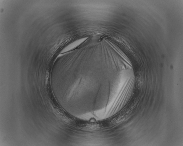 X0000087350458200705181131