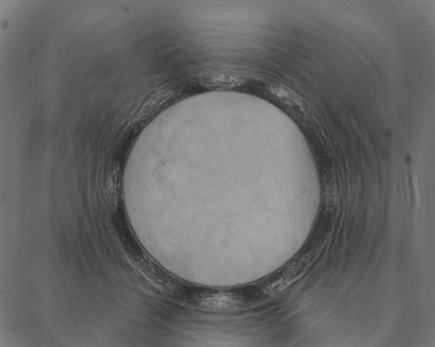 X0000087350460200705181131