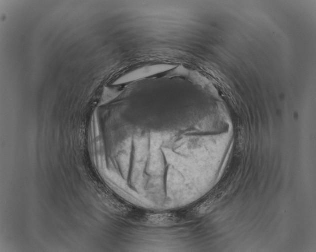 X0000087350461200705181131