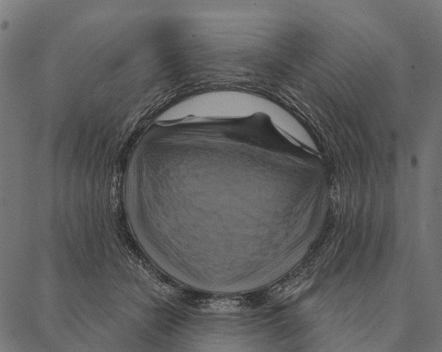 X0000087350462200705181131