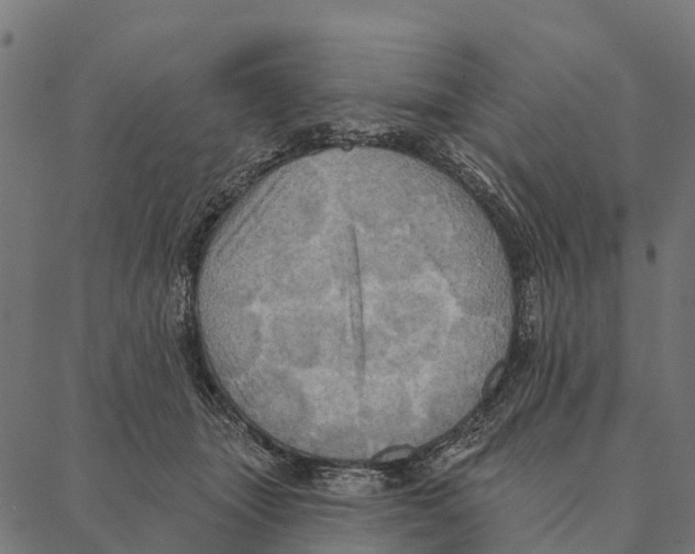 X0000087350463200705181131