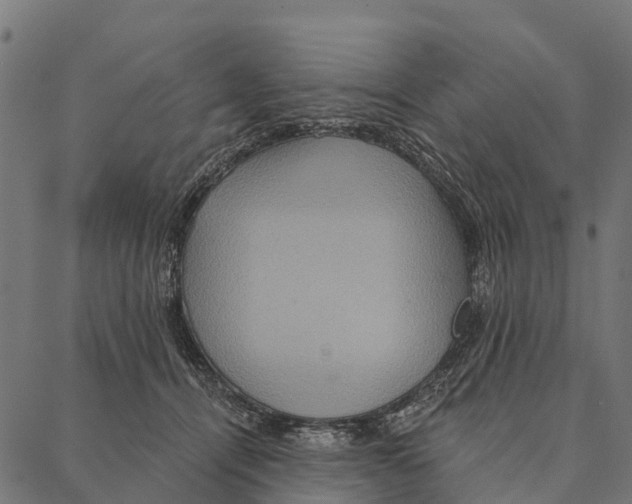 X0000087350464200705181131