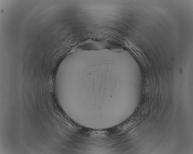 X0000087350465200705181131