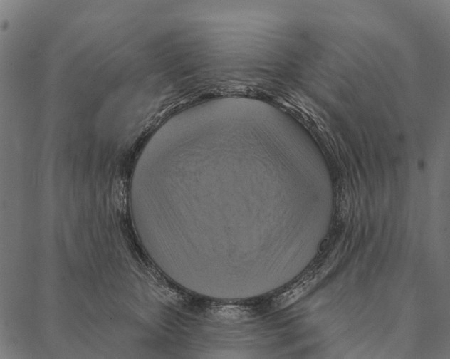 X0000087350467200705181131