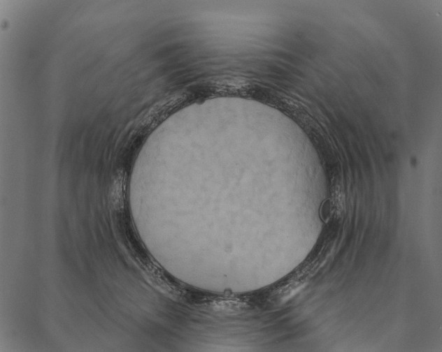 X0000087350468200705181131