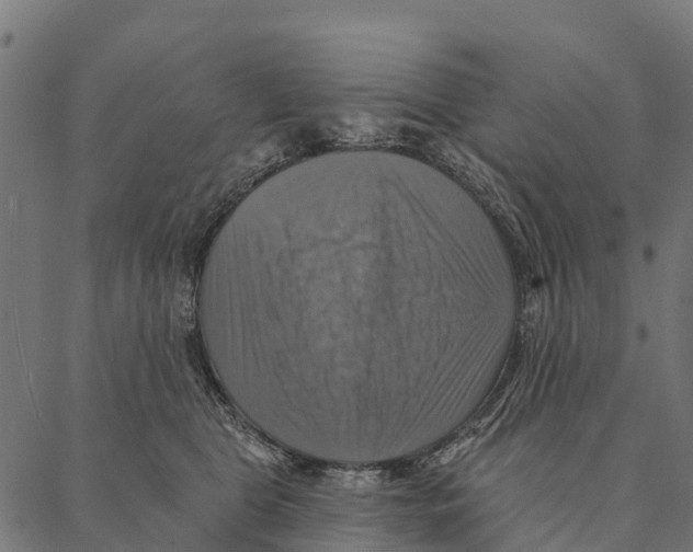 X0000087350469200705181131