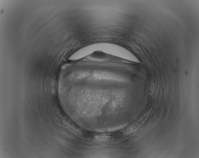 X0000087350470200705181131