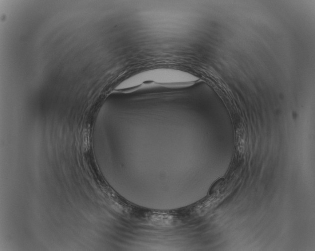 X0000087350471200705181131