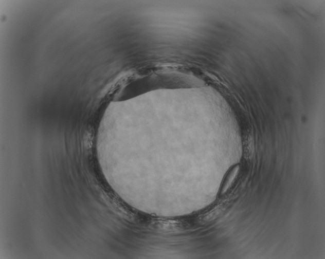 X0000087350472200705181131