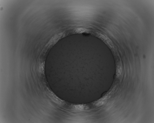 X0000087350473200705181131