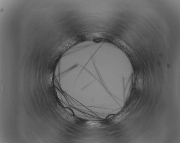 X0000087350477200705181131