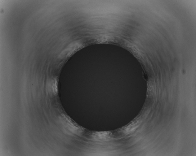 X0000087350479200705181131