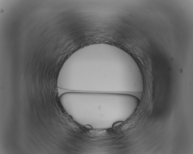 X0000087350480200705181131