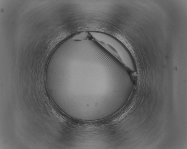 X0000087350481200705181130