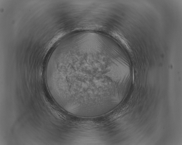 X0000087350483200705181130