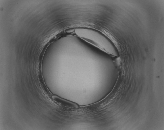 X0000087350485200705181130