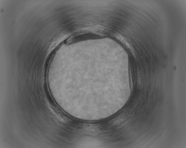 X0000087350486200705181130