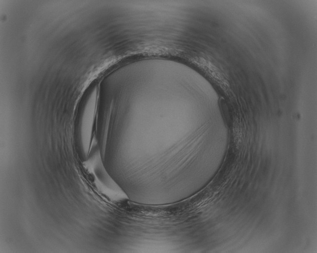 X0000087350488200705181130