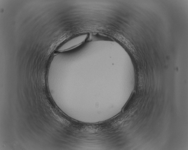 X0000087350489200705181130