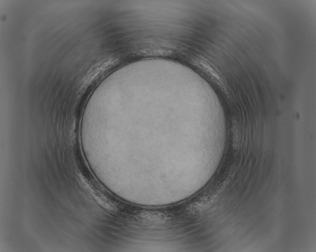 X0000087350490200705181130