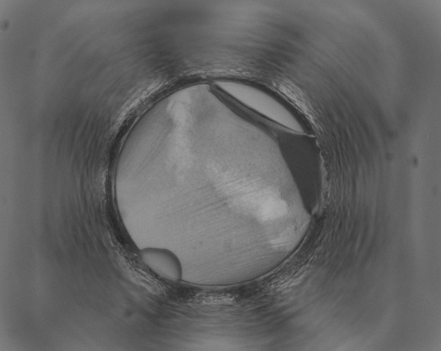 X0000087350491200705181130