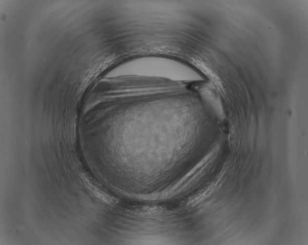 X0000087350493200705181130