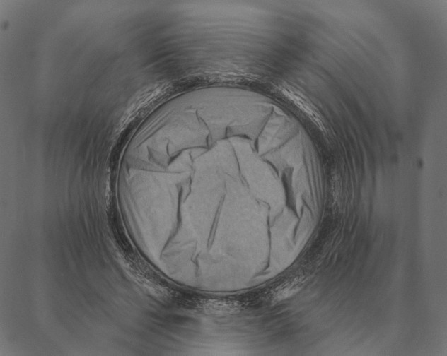 X0000087350494200705181130