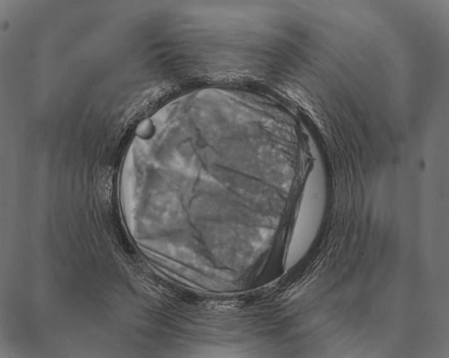 X0000087350495200705181130