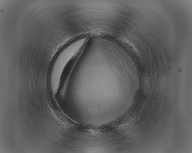 X0000087350496200705181130