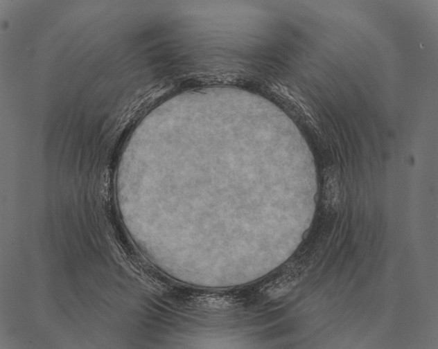 X0000087350498200705181130