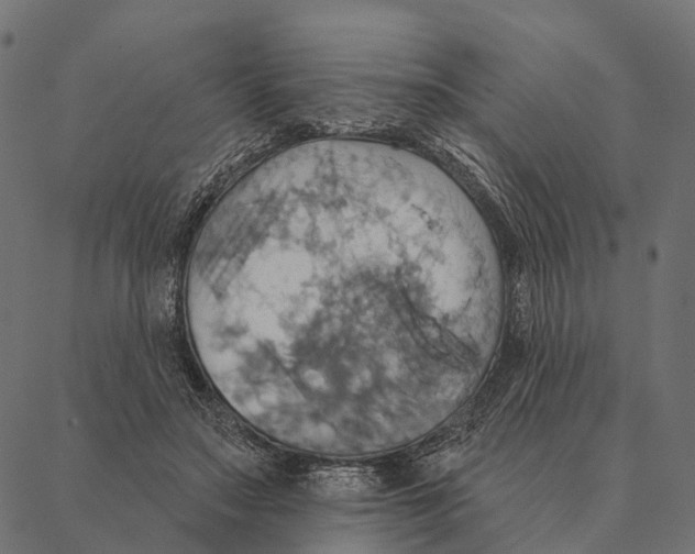 X0000087350499200705181130