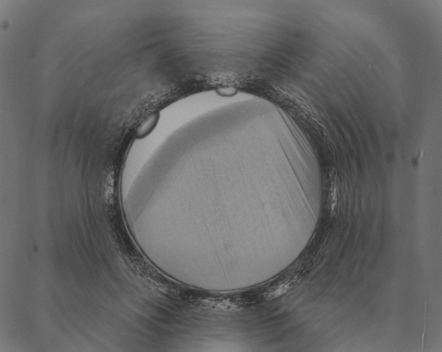 X0000087350502200705181130