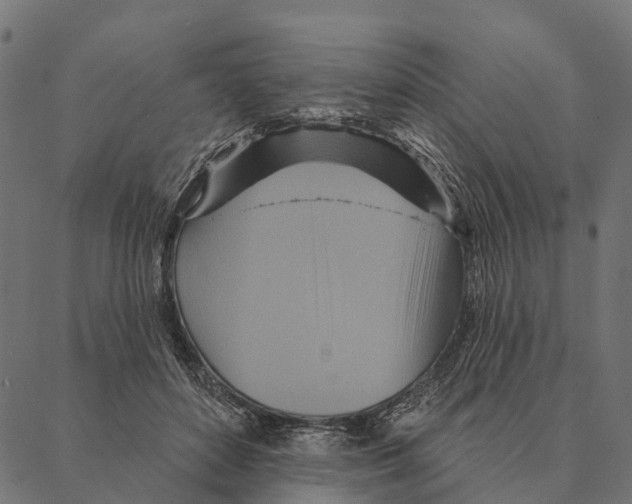 X0000087350504200705181130