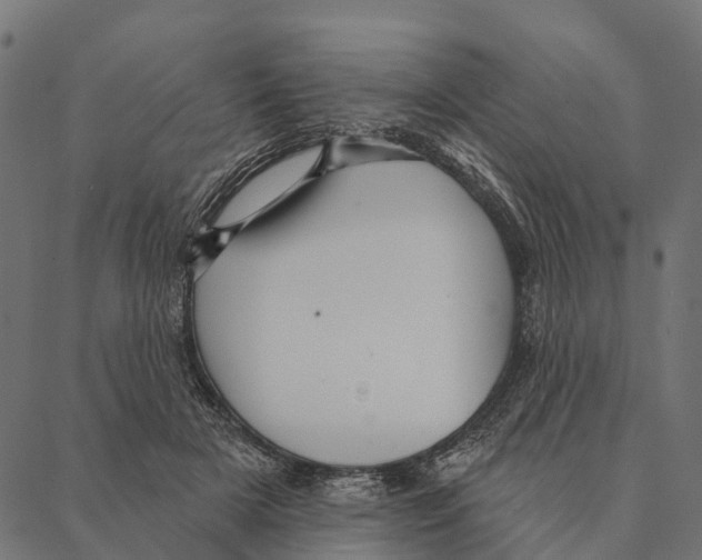 X0000087350505200705181130