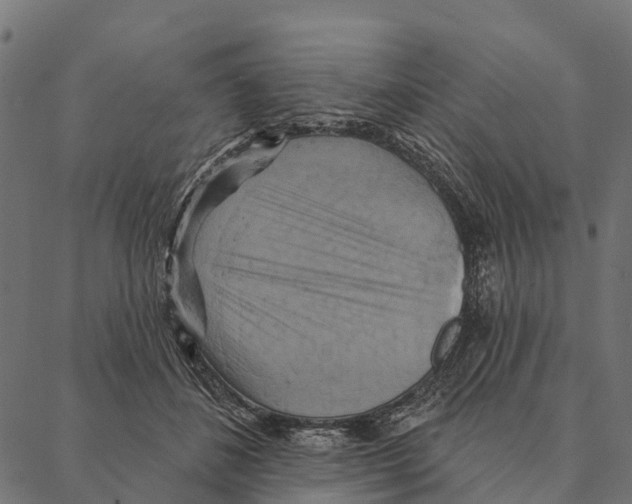 X0000087350508200705181130