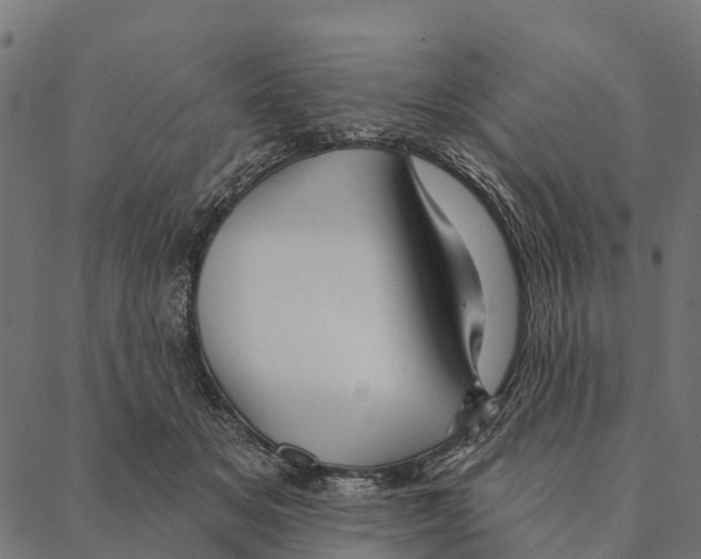 X0000087350509200705181130